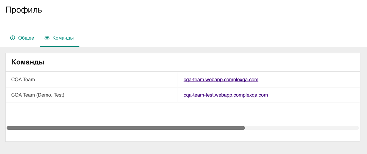Team members and roles in ComplexQA